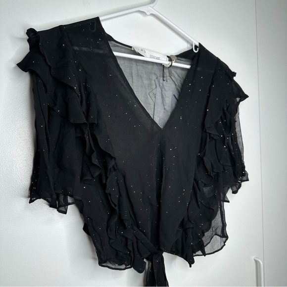 NWT IRO Lonila Ruffled Glittered Chiffon Top Size 40 Retail $670 - Picture 5 of 10